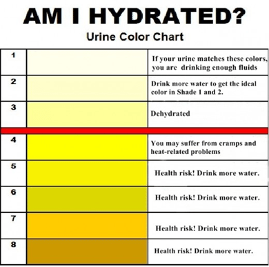 Hematuria Color Chart